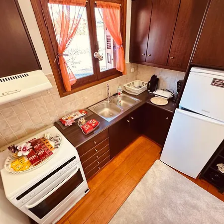 Snow Captain Venkovský dům Arachova