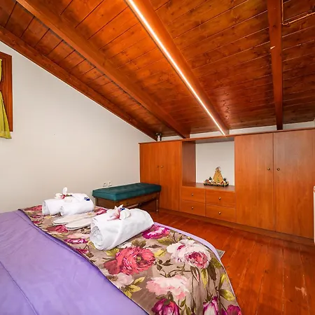 Casa rural Snow Captain Arájova
