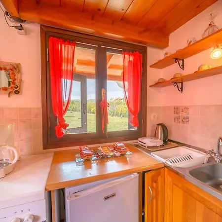 Venkovský dům Snow Captain Arachova