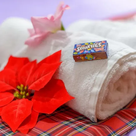 Venkovský dům Snow Captain *