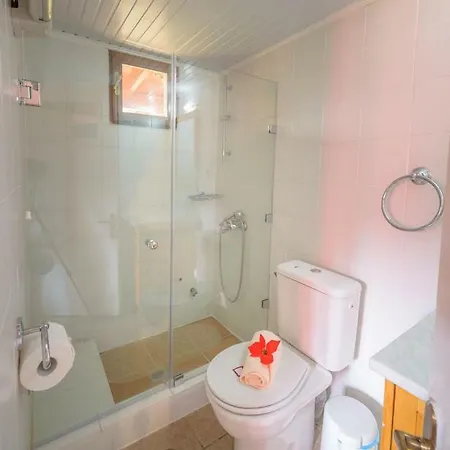 Snow Captain * Arachova