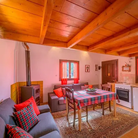 Venkovský dům Snow Captain